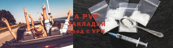 гидра Аркадак