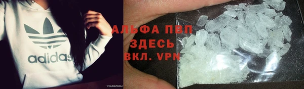 гидра Аркадак