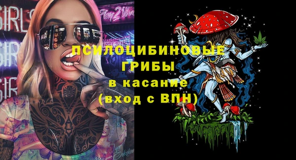 гидра Аркадак