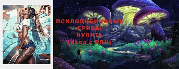 гидра Аркадак