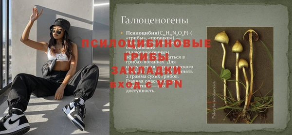 герыч Арсеньев